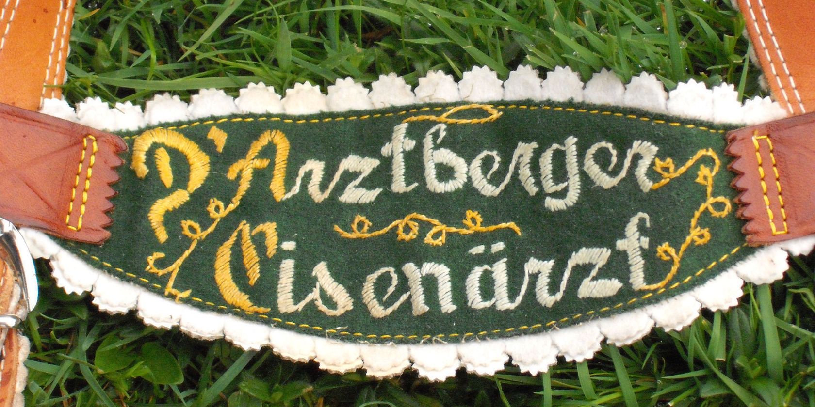 gtev-eisenaerzt gtev-eisenaerzt