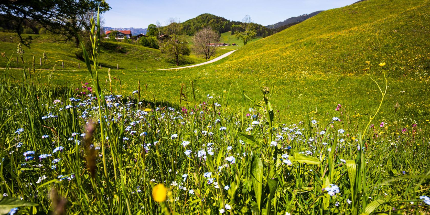 , © Ruhpolding Tourismus / Andreas Plenk , © Ruhpolding Tourismus / Andreas Plenk