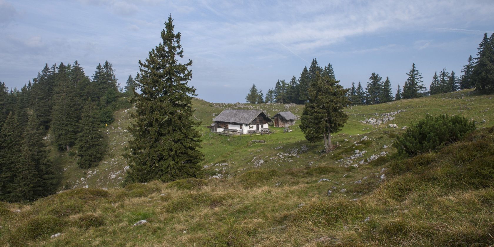 Kohler Alm, © Inzeller Touristik GmbH Kohler Alm, © Inzeller Touristik GmbH