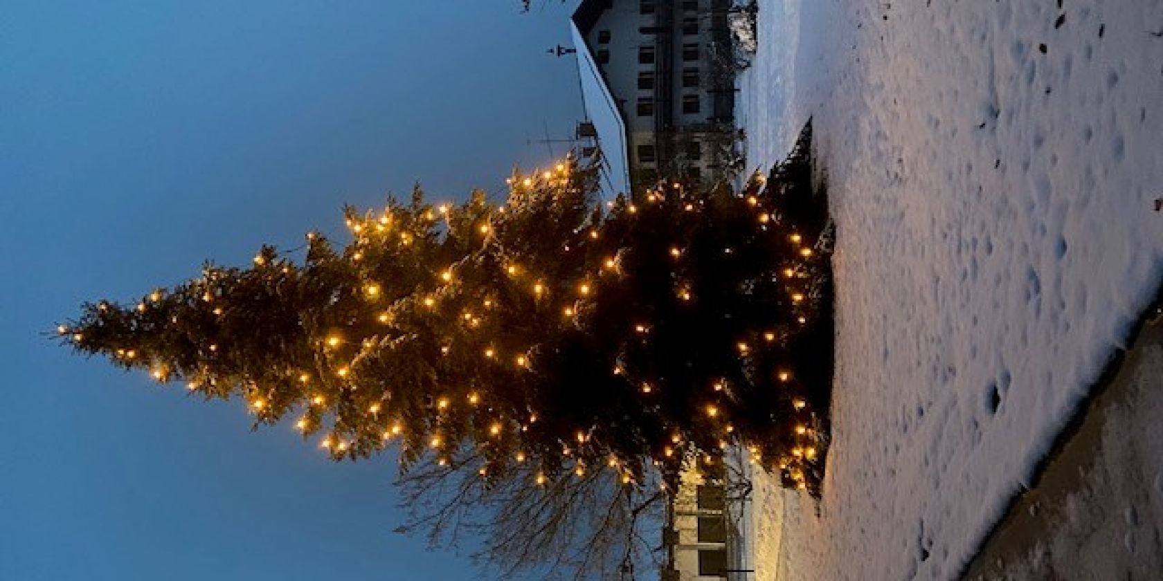 Christbaum Sossau 2023 Christbaum Sossau 2023
