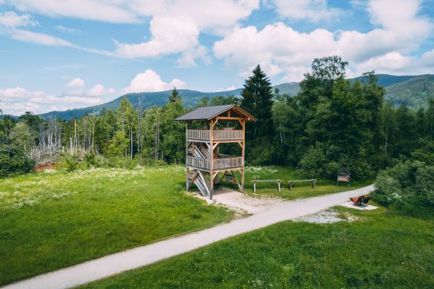 Inzell Sommer Fr&uuml;hling Moor Erlebnis Pfad Fuizn Wandern Talwanderung Natur Vogelbeobachtung Turm Flora Fauna, &copy; Inzeller Touristik GmbH