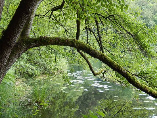 Natur