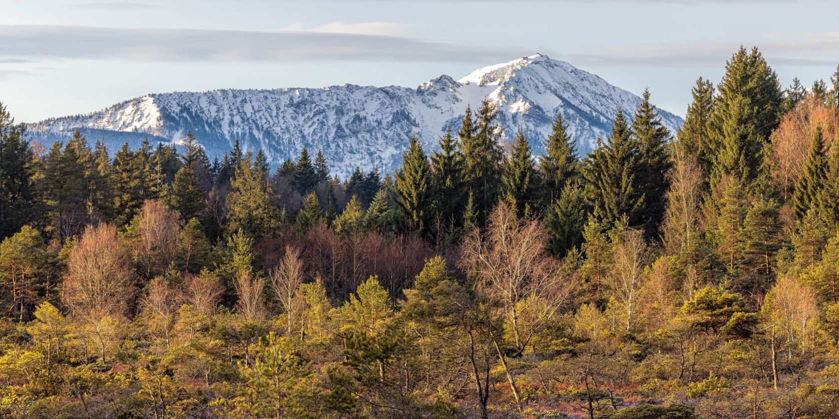 Ausblick Demelfilz, &copy; Tourist-Info Waginger See