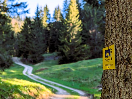 Premiumwanderweg Schild Chiemseeblick, &copy; Tourist Information - Thomas