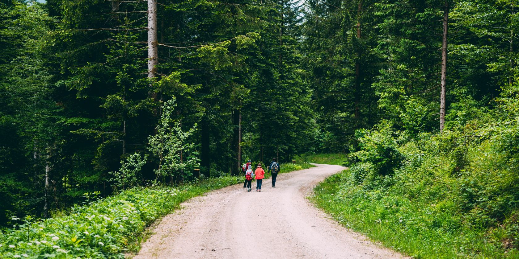 Weg zur B&auml;ckeralm, &copy; Inzeller Touristik GmbH