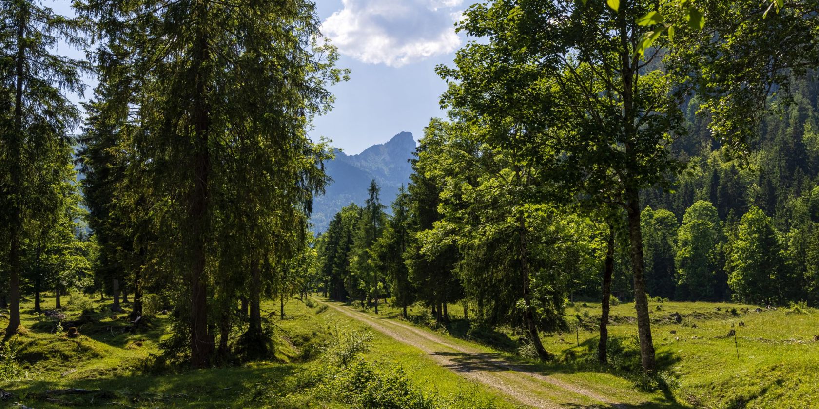 Waldbahn, &copy; Ruhpolding Tourismus / Andreas Plenk