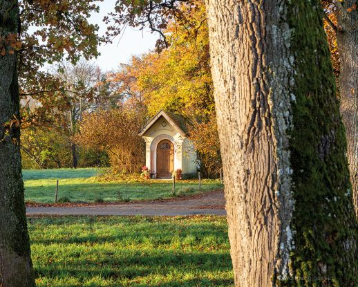 Wanderherbst: Der Lachsgang, &copy; Wolfgang Gassner