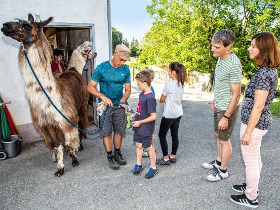 Lamas am Waginger See, &copy; Tourist-Info Waginger See